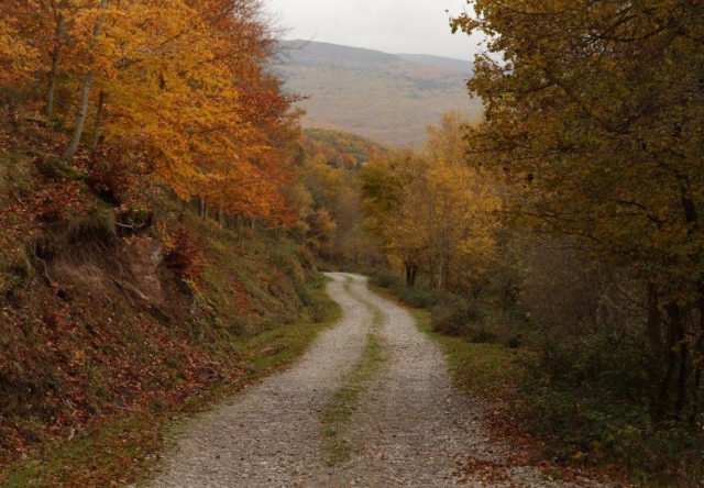  Trails full of magic 